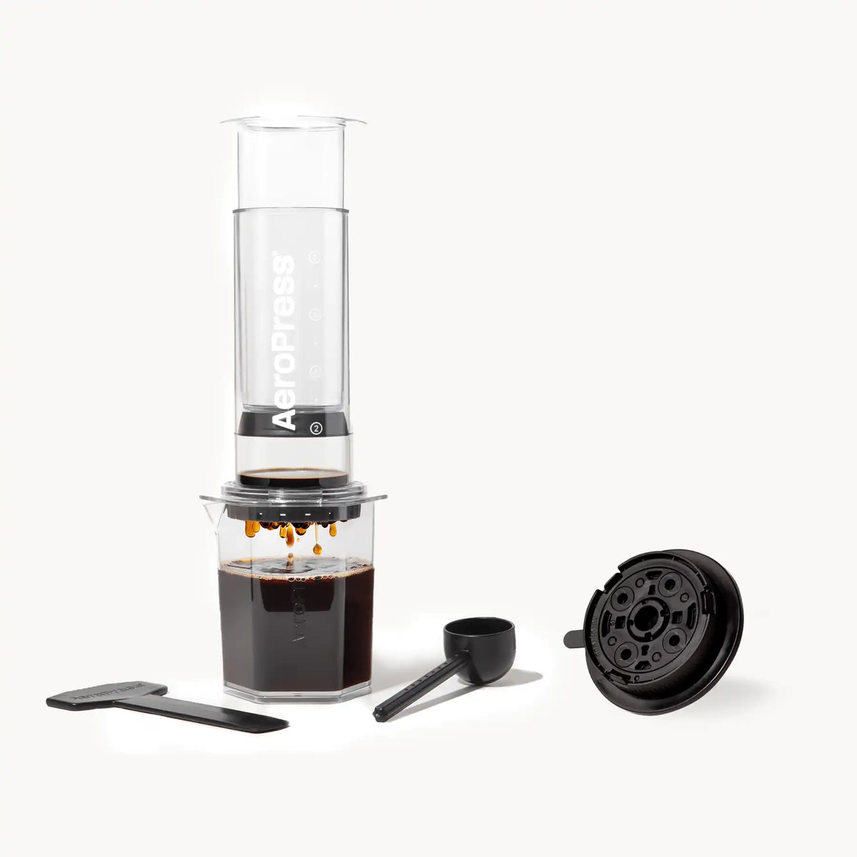 Recipe Bundle - Clear XL
